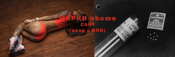 ГАЛЛЮЦИНОГЕННЫЕ ГРИБЫ Ельня