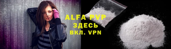 ГАЛЛЮЦИНОГЕННЫЕ ГРИБЫ Ельня