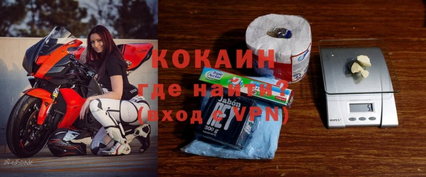 ГАЛЛЮЦИНОГЕННЫЕ ГРИБЫ Ельня
