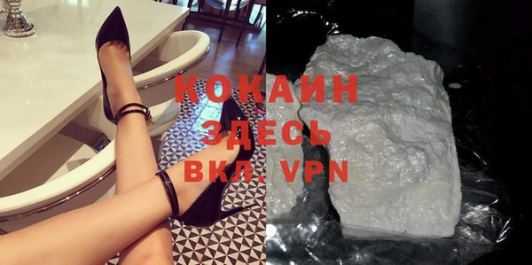 ГАЛЛЮЦИНОГЕННЫЕ ГРИБЫ Ельня