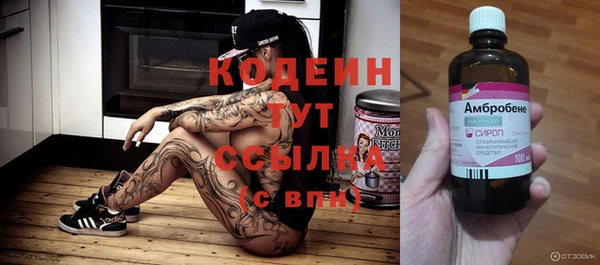 ГАЛЛЮЦИНОГЕННЫЕ ГРИБЫ Ельня