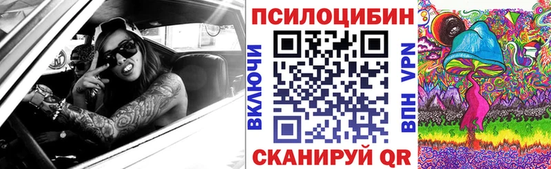 Псилоцибиновые грибы Psilocybe  Купить  Кировград 